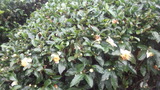 326091b1.jpg