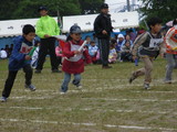 43cf474e.jpg