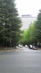 4499eb48.jpg
