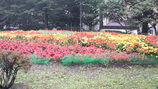 49c959d2.jpg