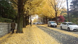 4a897274.jpg