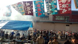 50cb0679.jpg