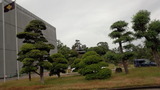 6e0988e1.jpg