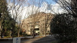 8061d645.jpg