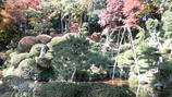 83d6357f.jpg