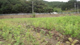 a182a5cb.jpg