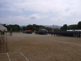b3a1560f.jpg