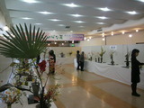 bd7ece7e.jpg