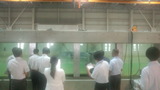 ccaf32e9.jpg