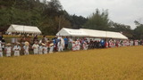 cea53278.jpg
