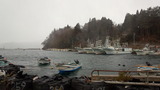 d0948468.jpg