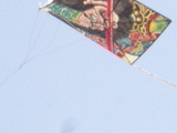 d99f009e.jpg