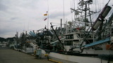 e710f8bb.jpg