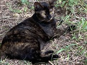 78C2CB1D-0B2F-405C-A756-CB68CC8CC06D