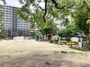 IMG_1412