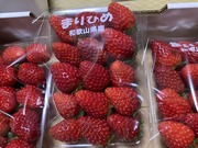 218A1B6B-736C-40FE-9CE8-69221874A148