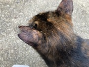 3DBDF59F-7E9B-4751-851C-ADBE9388041E