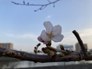 7AC4BB45-6A3E-4A53-80CD-CC6990842A65