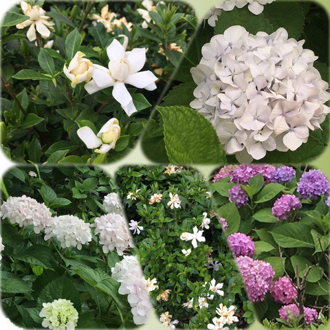 85AFF156-E594-44BE-9B45-C1B1EF0CB8E5