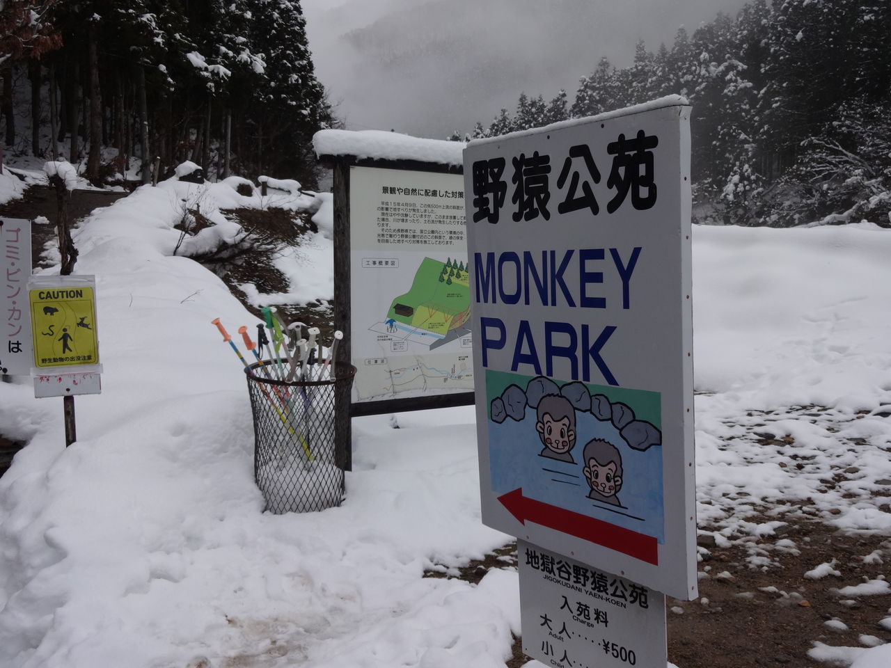 温泉 渋温泉 地獄谷 野猿公苑 ブログ Di Luna