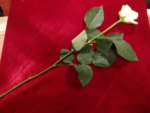 DSC05311