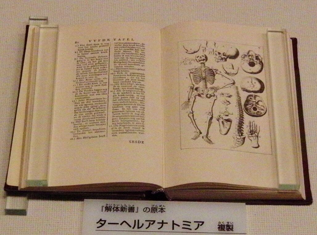 読書] 杉田玄白『蘭学事始』＆吉村昭『冬の鷹』 (2024/02） : ブログ