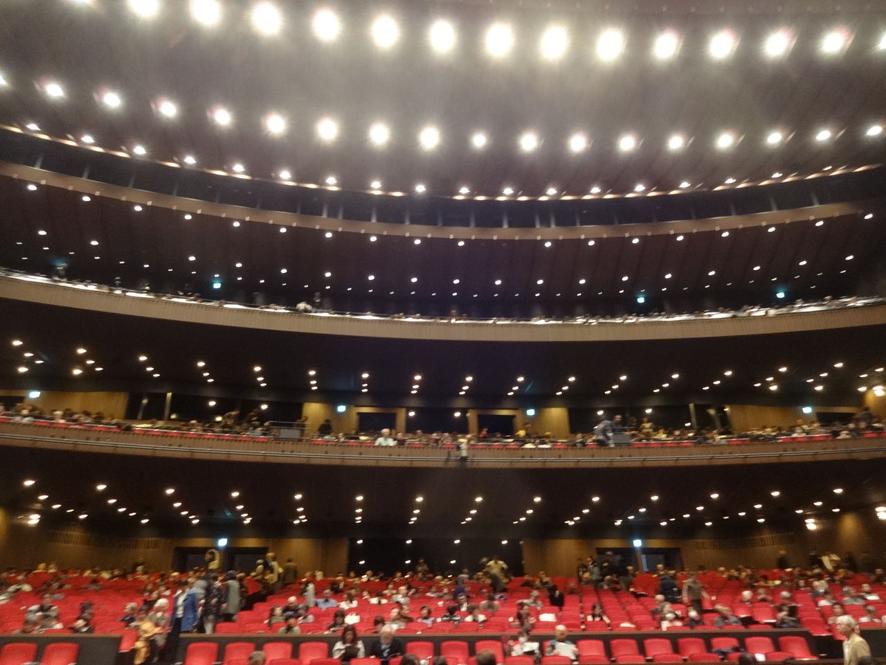 17年11月 ブログ Di Luna