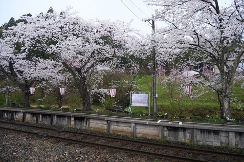 DSCF8749