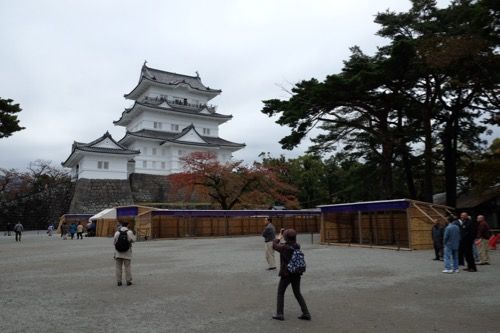 DSCF8482