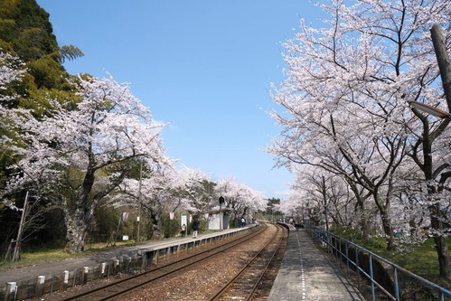 DSCF8855