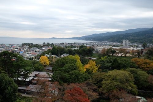 DSCF8502