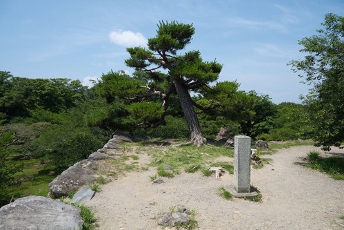 DSCF0901
