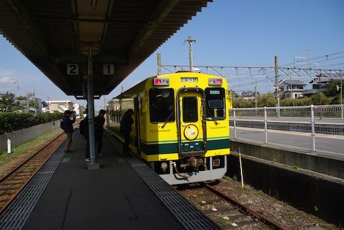 IMGP1774