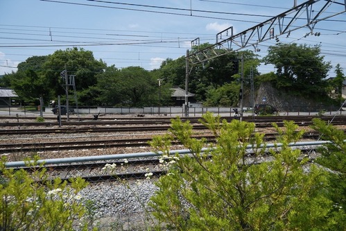 DSCF0912