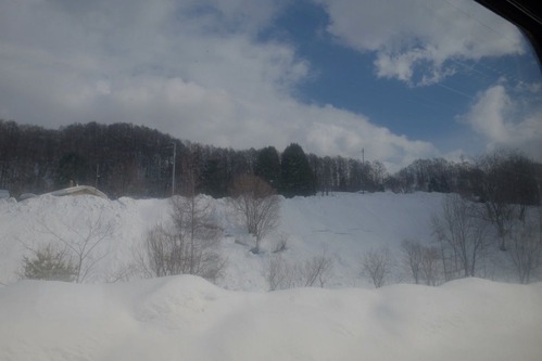 DSCF5584