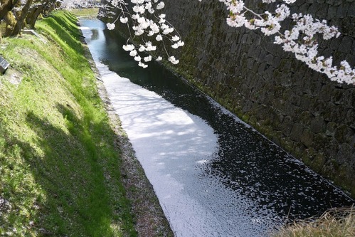 DSCF8971