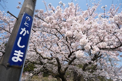 DSCF8829