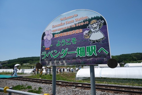 DSCF3777