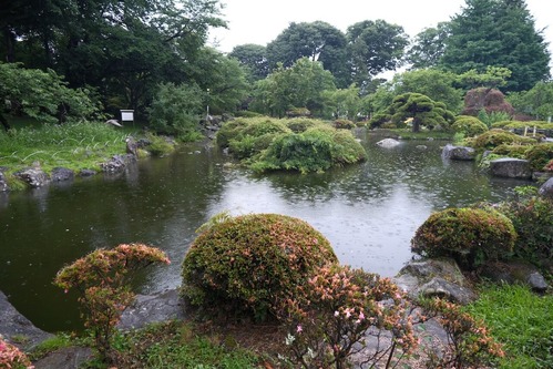 DSCF0737