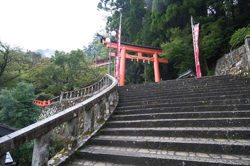 DSCF4818