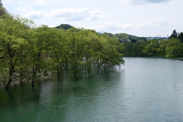 DSCF7057