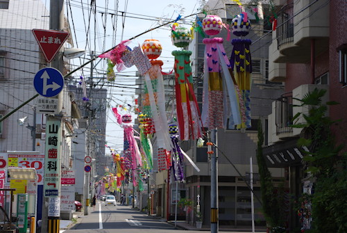 �����Ź��