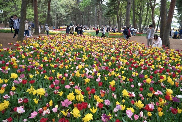 DSCF9851