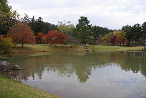 IMGP8273