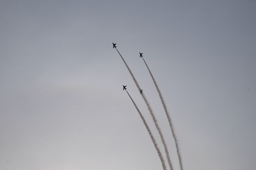 DSCF8240