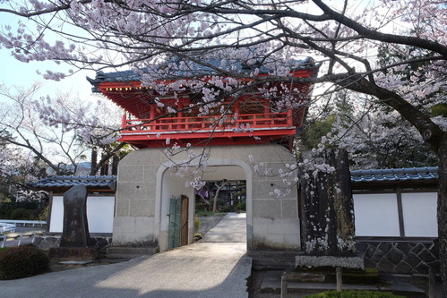DSCF6380