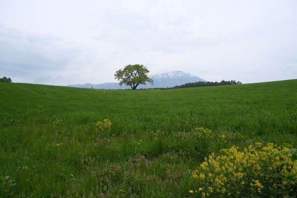 DSCF7087