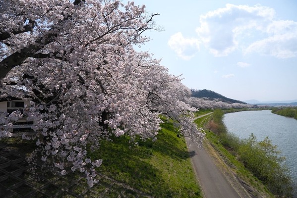 DSCF9217