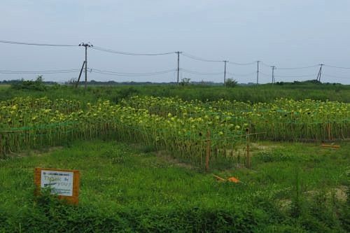 りんくう公園3