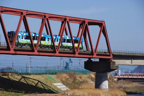 IMGP2542